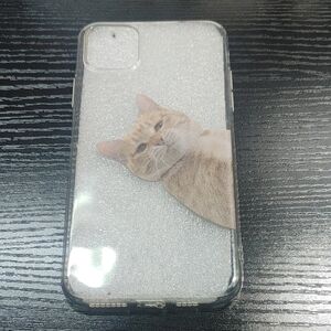 iPhone 11 Pro Max Case Orange Cat Meme - Clear Protective Case